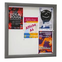 Vitrine extérieure couleur 5015