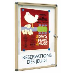 Vitrine extérieure 5031
